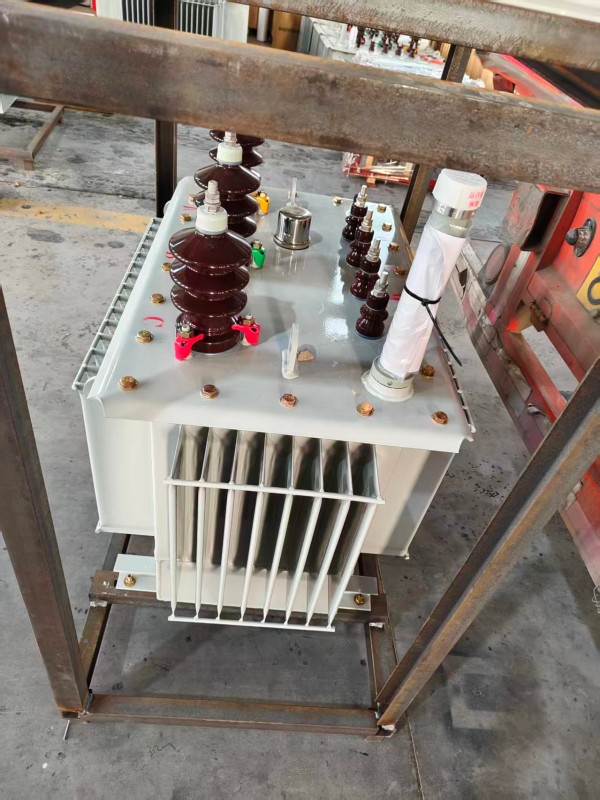 S13‑1000kVA <a href='https://zhenlai.xdbyq.cn/youjinshi/' target='_blank' title='镇赉油浸式变压器'><strong>镇赉油浸式变压器</strong></a> 大型厂区 S13 镇赉镇赉镇赉油浸式变压器 S13‑1000kVA 镇赉镇赉镇赉油浸式变压器 大型厂区 S13 镇赉镇赉镇赉油浸式变压器
